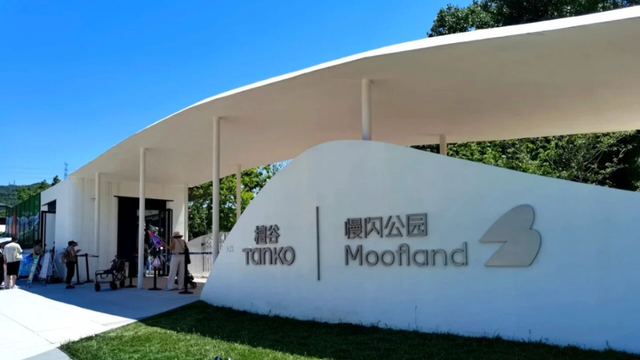 热气球潮玩艺术生活节将在门头沟开启