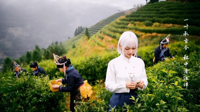 上海人周末别宅了！上海国际茶文化旅游节开幕，带来多重惊喜体验