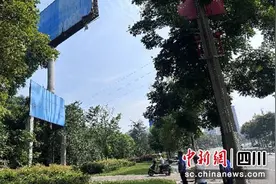 自贡富顺：规范户外广告 守牢“头顶”安全图片