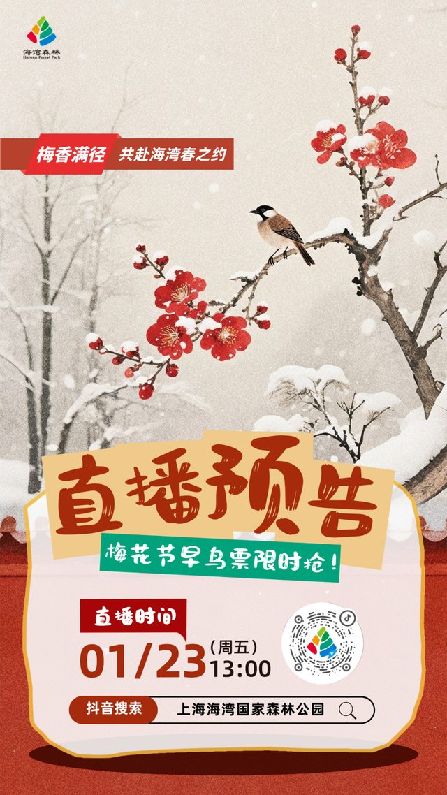 域见上海·域见奉贤｜冬春之交顶流花神C位出道！海湾国家森林公园梅花节定档大年初一