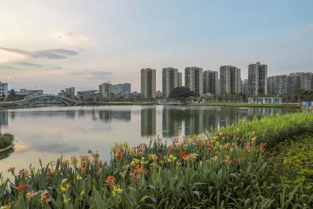 运动、遛娃、拍照全安排！东莞人“家门口”又上新了