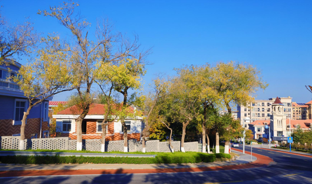 威海“封神”机位！走在路上一回头，整片大海扑进镜头里