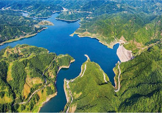 季节限定！洛阳些“海”人少景美，快出发！