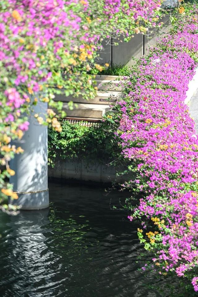 深圳知名景区紧急通知！