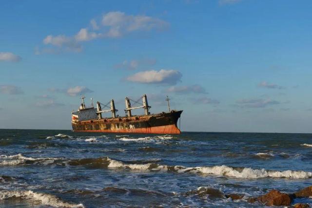 冬天！所有人都该来荣成见一见“永不失约”的布鲁威斯