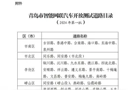 青岛开放2024首批无人驾驶测试道路 涵盖八区121条路段图片