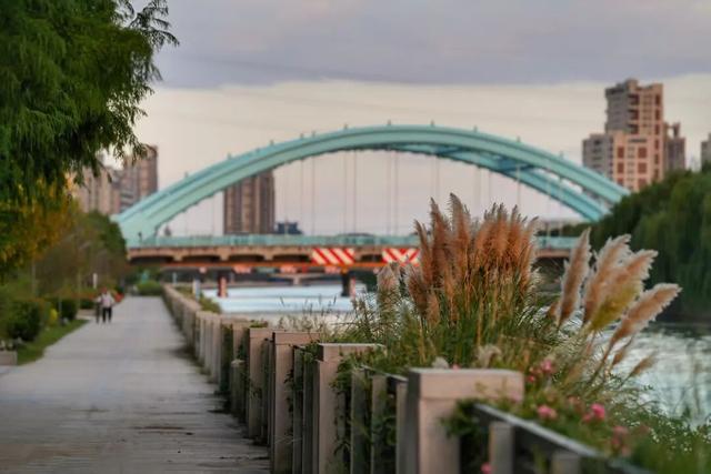 域见上海·域见奉贤｜奉浦秋日限定！这三条宝藏路线，承包所有秋日浪漫，刷爆朋友圈就靠它