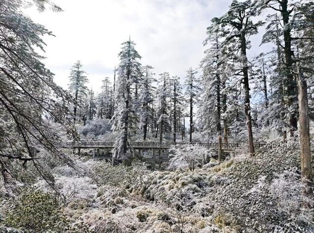 秋假封神目的地！瓦屋山飘雪啦！美到不想回家~