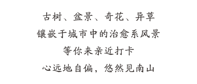 点一下，“榜一”主场之城亮了