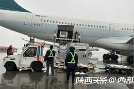 澳大利亚车厘子首次批量进入西安图片