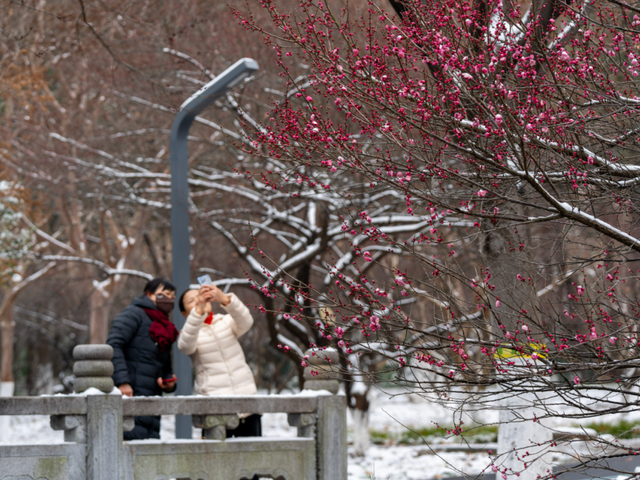 马鞍山这片花海，免费又出片！