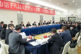 履职尽责 共谋发展！市十八届人大三次会议温江区代表团举行第二次会议图片