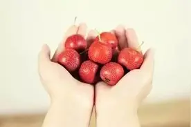 夏季神仙组合降血脂，故宫里的食养秘方图片