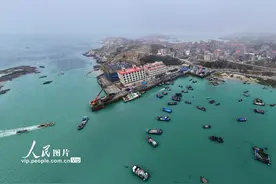 福建莆田：春日牧海耕作忙图片