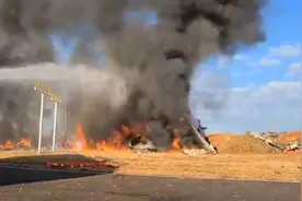 官方推测韩国飞机失事前撞上鸟群引关注！鸟击仍是世界性难题图片