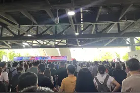 “繁荣”假面下，企业抱着“熬死”对手的心态在坚持｜再会SNEC图片