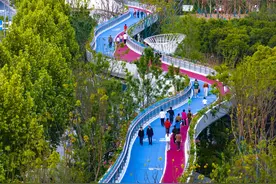 更新的生活│南京一条“数据线”吸引4万人次打卡图片