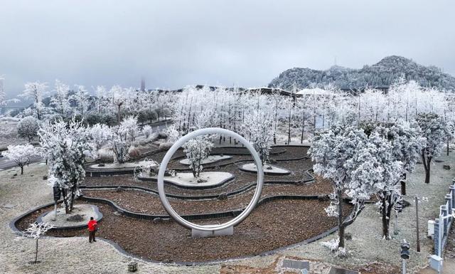 冬日限定！贵州的雾凇秘境藏不住了
