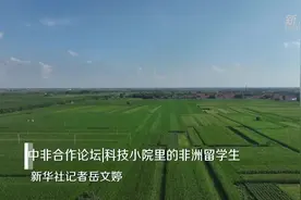 中非合作论坛丨科技小院里的非洲留学生图片