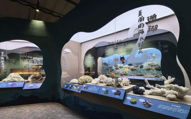 中国最具开拓性的小镇：“闯海”闯出三沙群岛