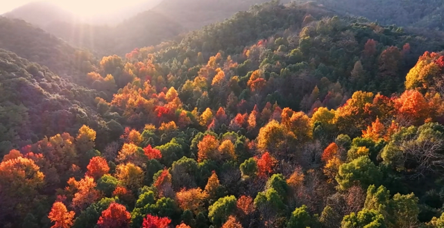 余杭“秋日恋歌”打卡地图出炉！