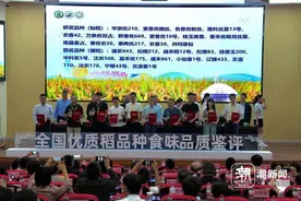 全国127个优质水稻品种齐聚杭州，现煮现尝，谁是最好吃的米？图片