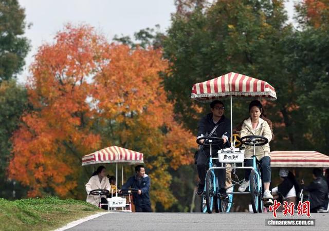 成都青龙湖湿地公园秋色美景迎客来