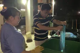 投放厨余垃圾为何要“破袋”？政协委员关注，广州城管回应图片