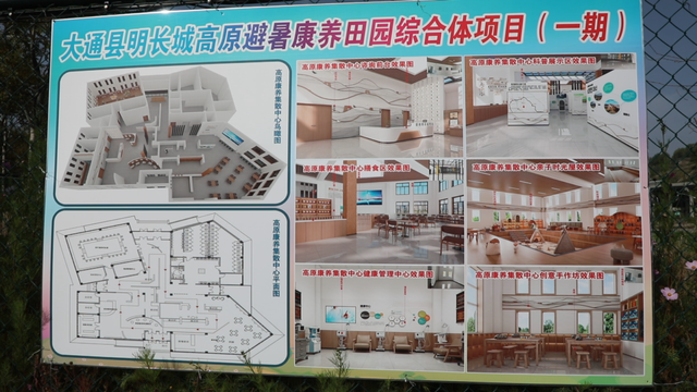 南京文旅专家到大通县考察 共绘高原避暑康养文旅新蓝图