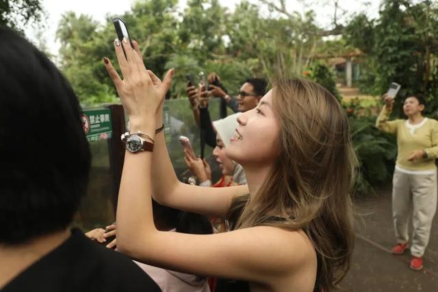 东盟网红漫游海南自贸港采风行：在生态软件园“数”见未来 于定安美食中“醉”享烟火！