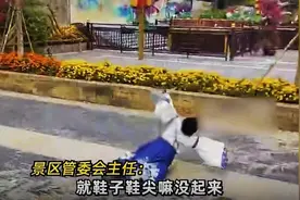 东莞观音山国家森林公园内“威亚拖行男童2米”后续：威亚项目暂停开放图片