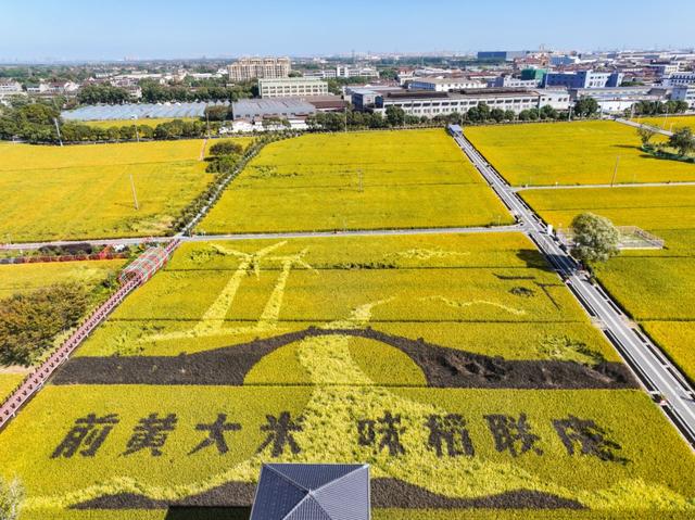 武进绝美打卡地！在嘉泽、湖塘、雪堰、前黄……