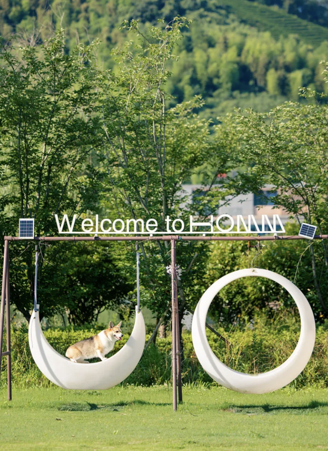 探索票根经济、人宠共游、舌尖旅行，浙江发布15个文旅促消费案例