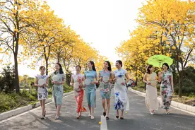 农文旅融合前景看好！一树繁花催动广东文旅新业态图片