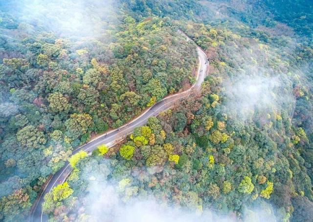 正式发布！罗湖独占全市一半！