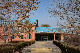 抓捕“溜达猴”背后，他们帮野生动物重返自然图片