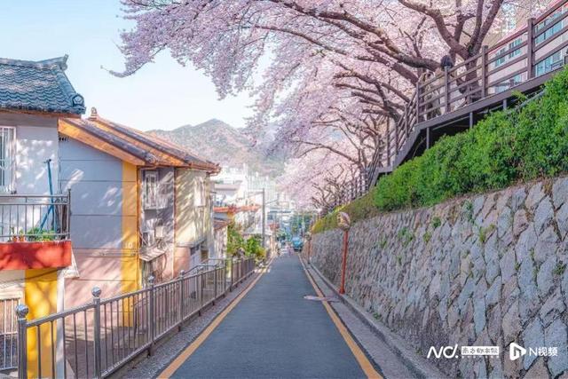 打造韩国“大回环”深度游！“海洋光谱号”发布年度航线计划