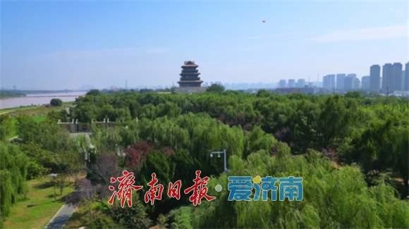 藏在身边的绚丽秋景图！解锁济南区县秋日乡野的诗与远方