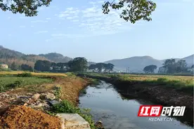 桃江县武潭镇：未雨绸缪！杉树村村委筹资80万修建防洪堤成功防灾图片