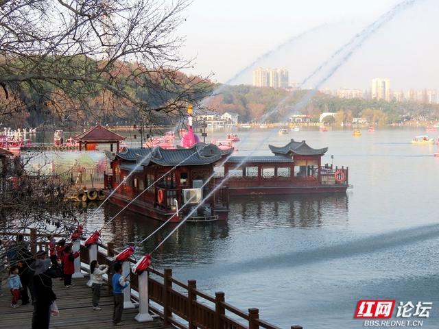 当冬日金光洒满年嘉湖，便是长沙最动人的模样