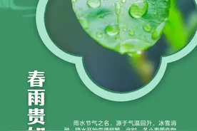 谚语里的节气丨春雨贵如油图片