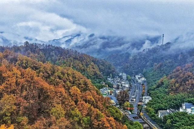 这里红叶进入“巅峰”，抓紧时间，真的会落！