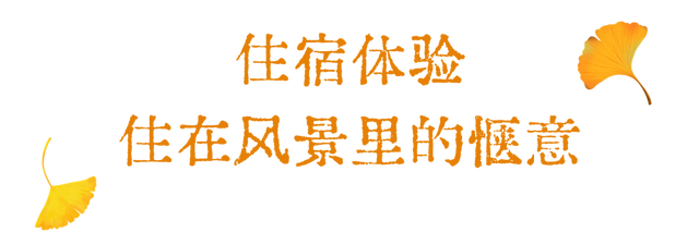 洛阳这个宝藏去处，秋天必打卡！