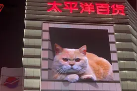 上海太平洋百货徐汇店最后一夜：30年老商场再放《宝贝对不起》，商户盘点、撤柜正式告别图片
