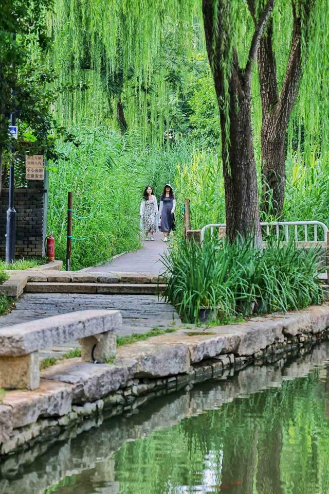 大美东城｜俯仰之间皆胜景 行停之处即桃源