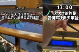 网红扎堆联合国开会？这“国际玩笑”不好笑图片