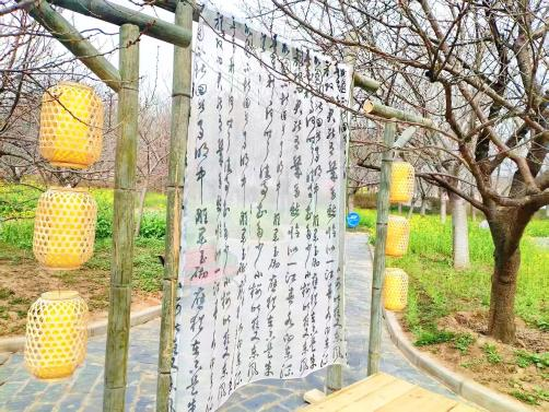 2026河南·荥阳第十一届黄河樱花季在丰乐樱花园启幕
