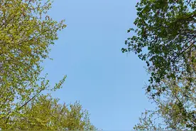 29℃！河北开启升温模式！后天雨又来……图片