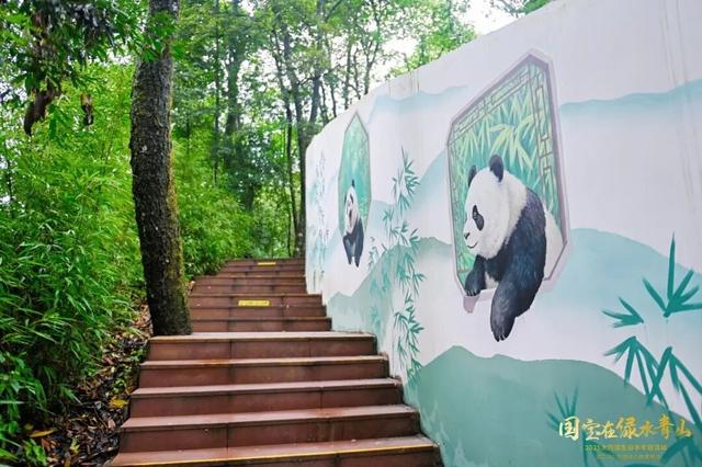 雅安又多了一处熊猫彩绘，你打卡了吗？