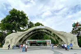 上海动物园建园70周年，长三角动物园联盟成立图片